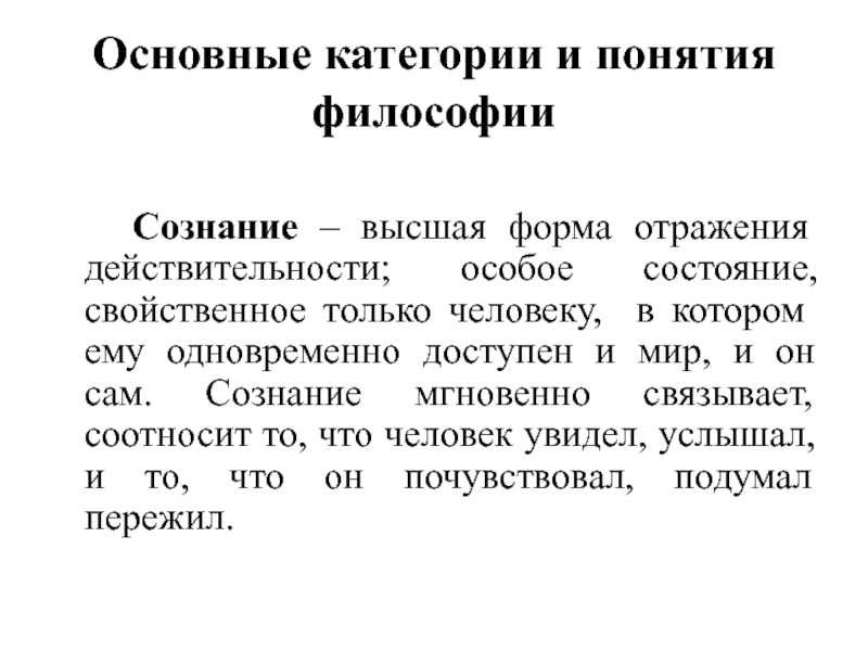 Категории философии — история, принципы, основные идеи