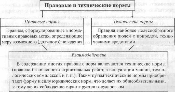 Технические и социальные нормы их виды доклад