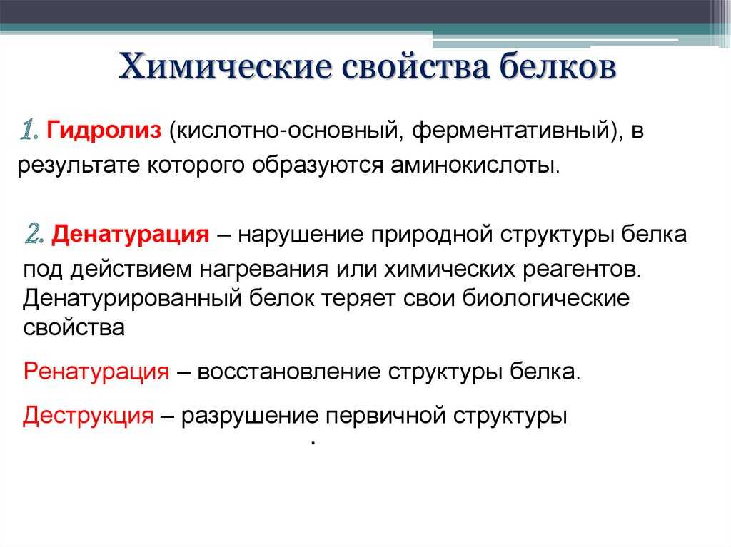 Биология. 11 класс