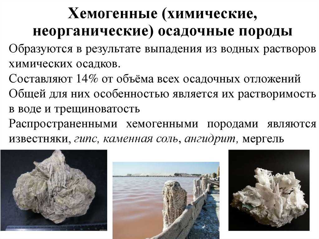 Хемогенные и органогенные породы презентация, доклад, проект на тему