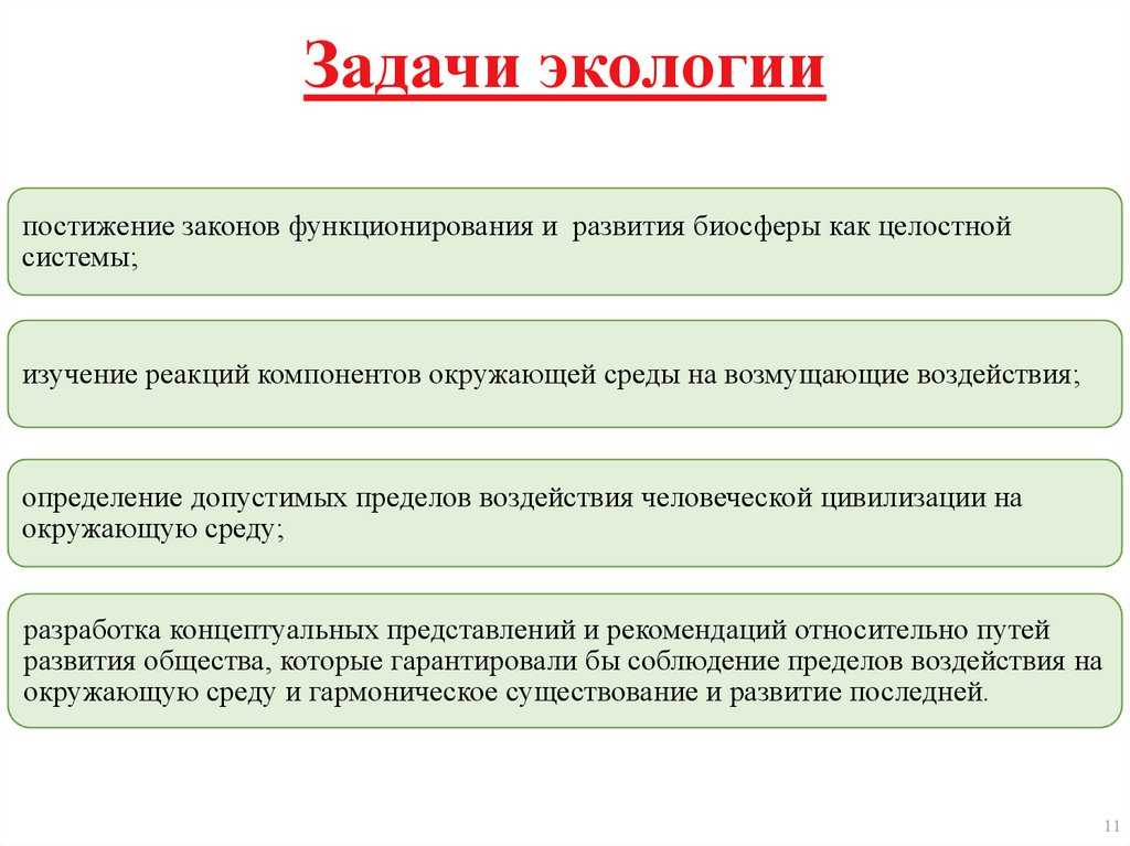 Предмет, методы и задачи экологии