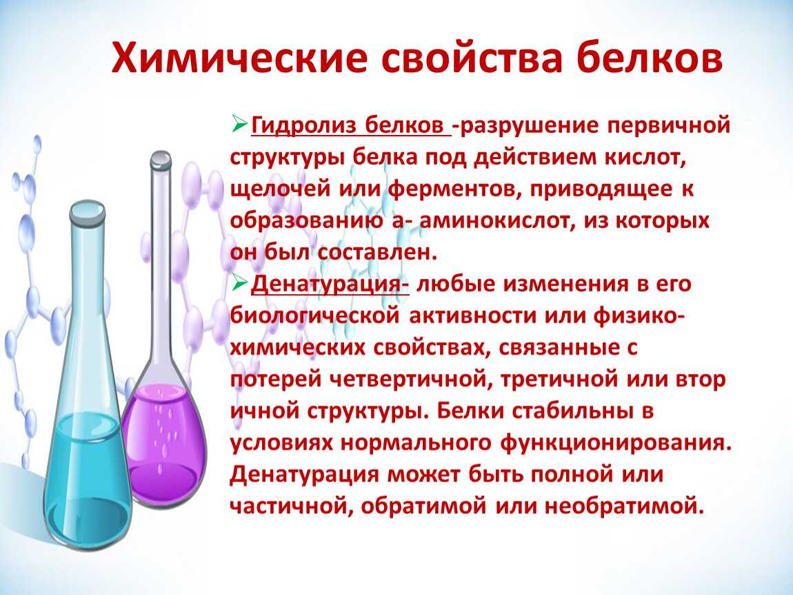Уравнение биуретовой реакции для фрагмента белка