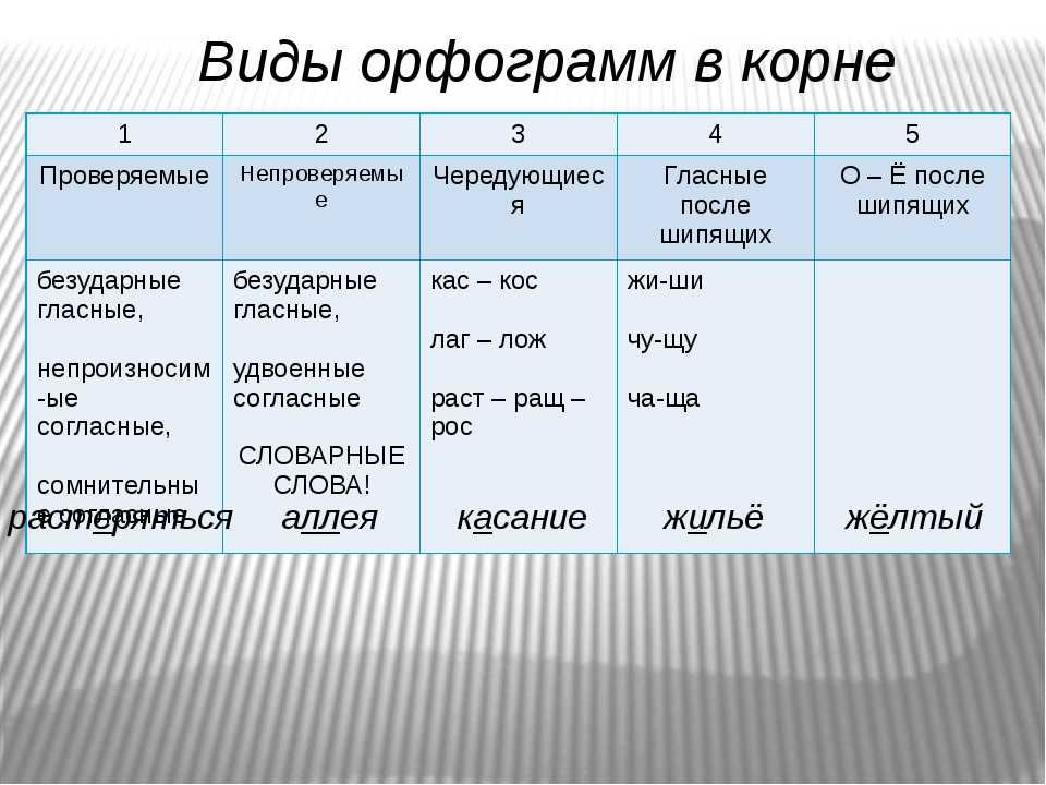 Принципы русской орфографии типы и виды орфограмм