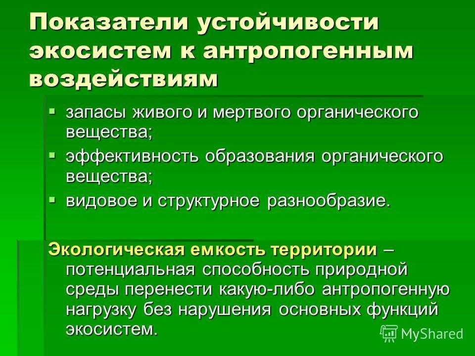 Урок 6: сукцессии - 100urokov.ru