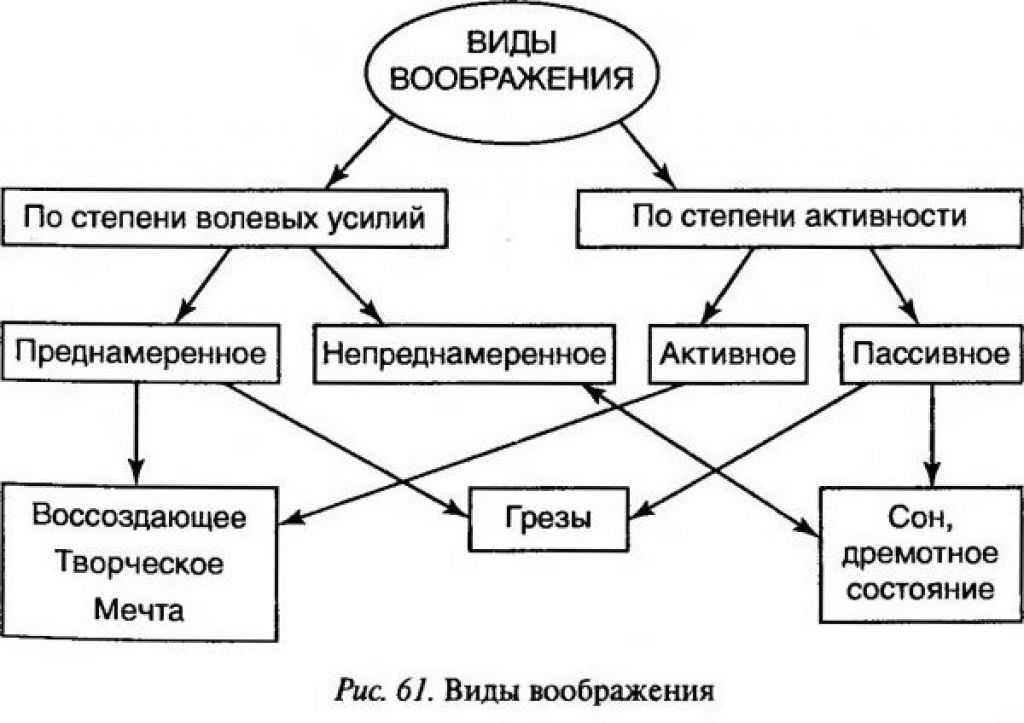 Свойства  воображения в психологии: виды и характеристики, основные функции