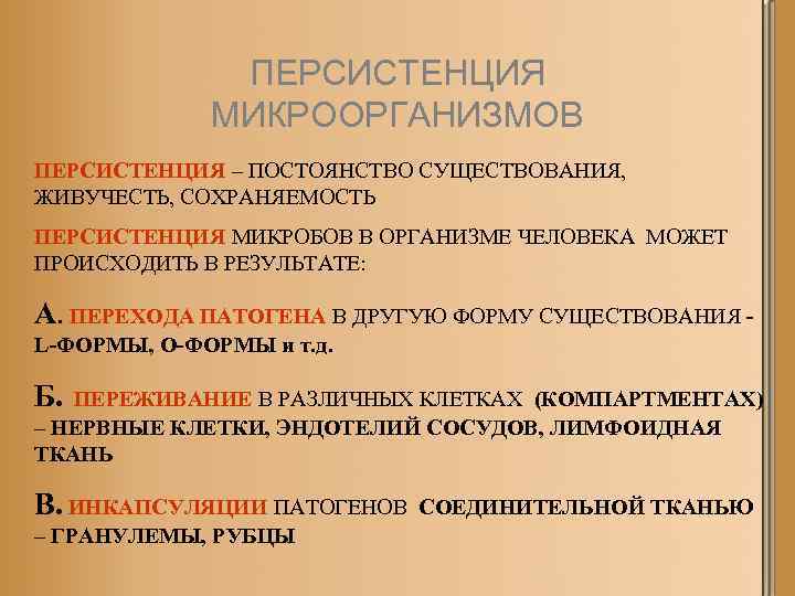 Персистирующая инфекция: что это такое, возбудители, диагностика, лечение