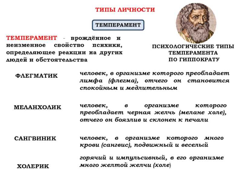Типы темперамента: сангвиник, холерик, меланхолик, флегматик