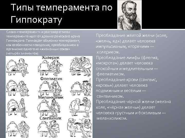 Что такое темперамент человека: определение, чем отличается от характера, описание 4 типов + тесты для самодиагностики