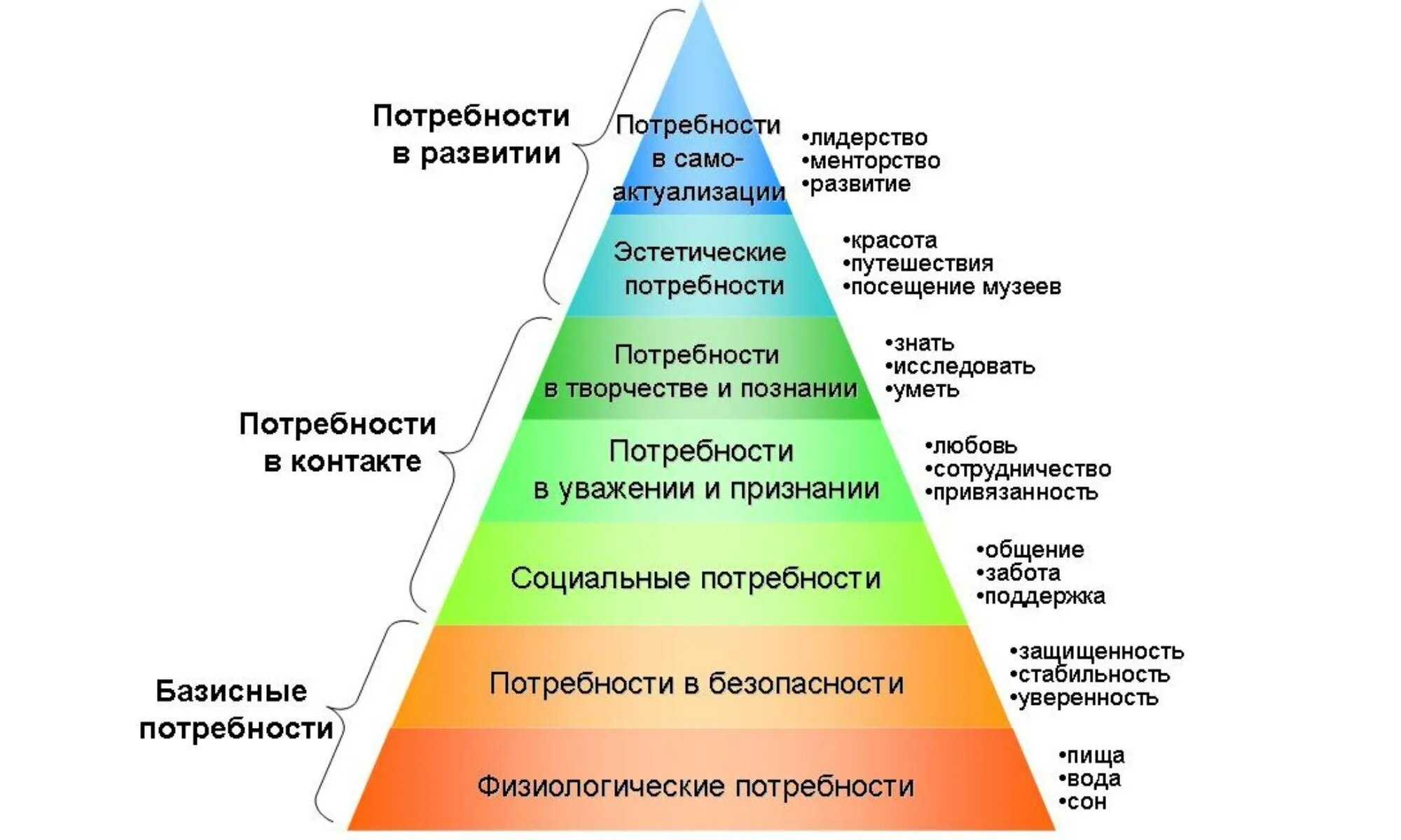Базовые принципы построения карьеры. реферат. менеджмент. 2016-05-23
