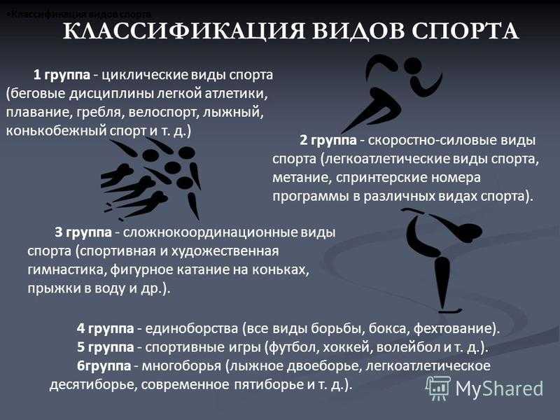 Классификация видов спорта кратко