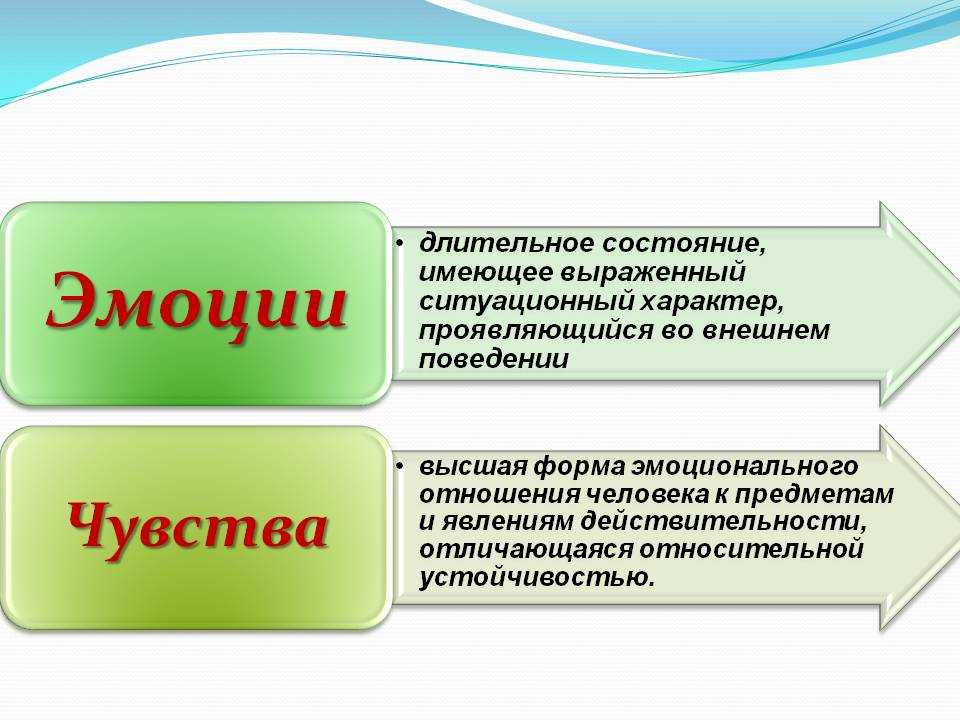 Что важно знать про чувства и эмоции каждому человеку?