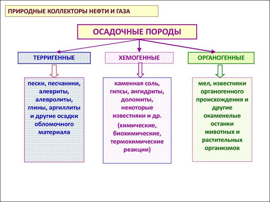 Презентация на тему хемогенные и органогенные породы