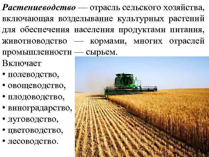 География