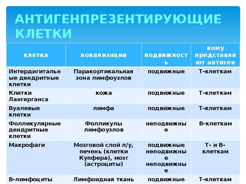 Иммунология - ройт а. - мир 2000