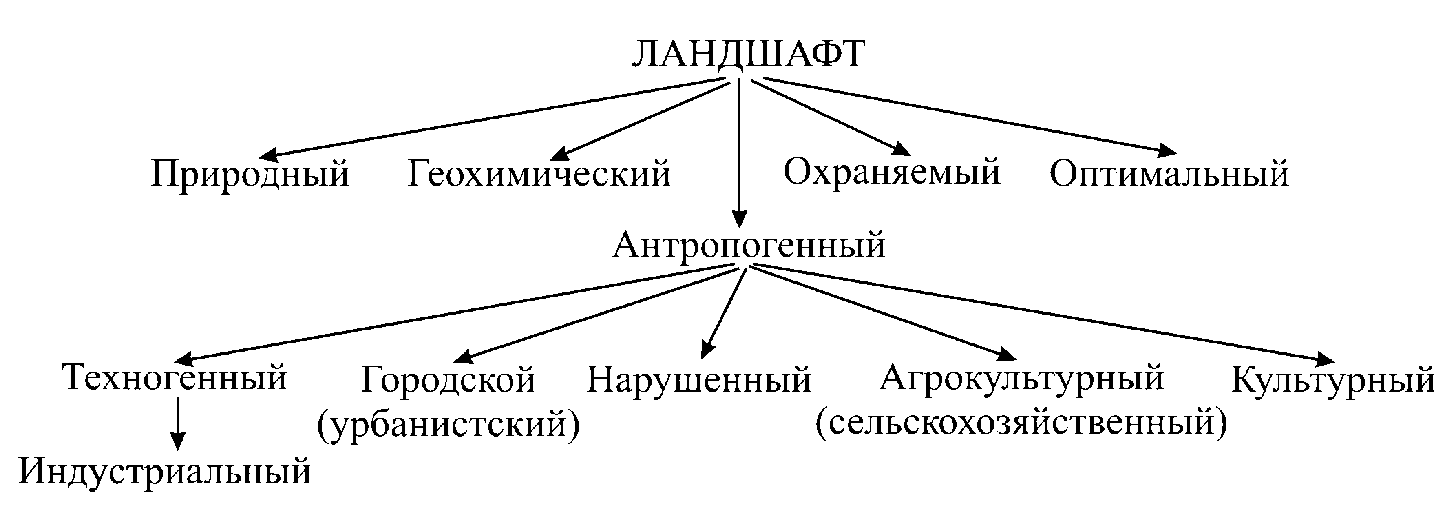 Антропогенные ландшафты созданные человеком