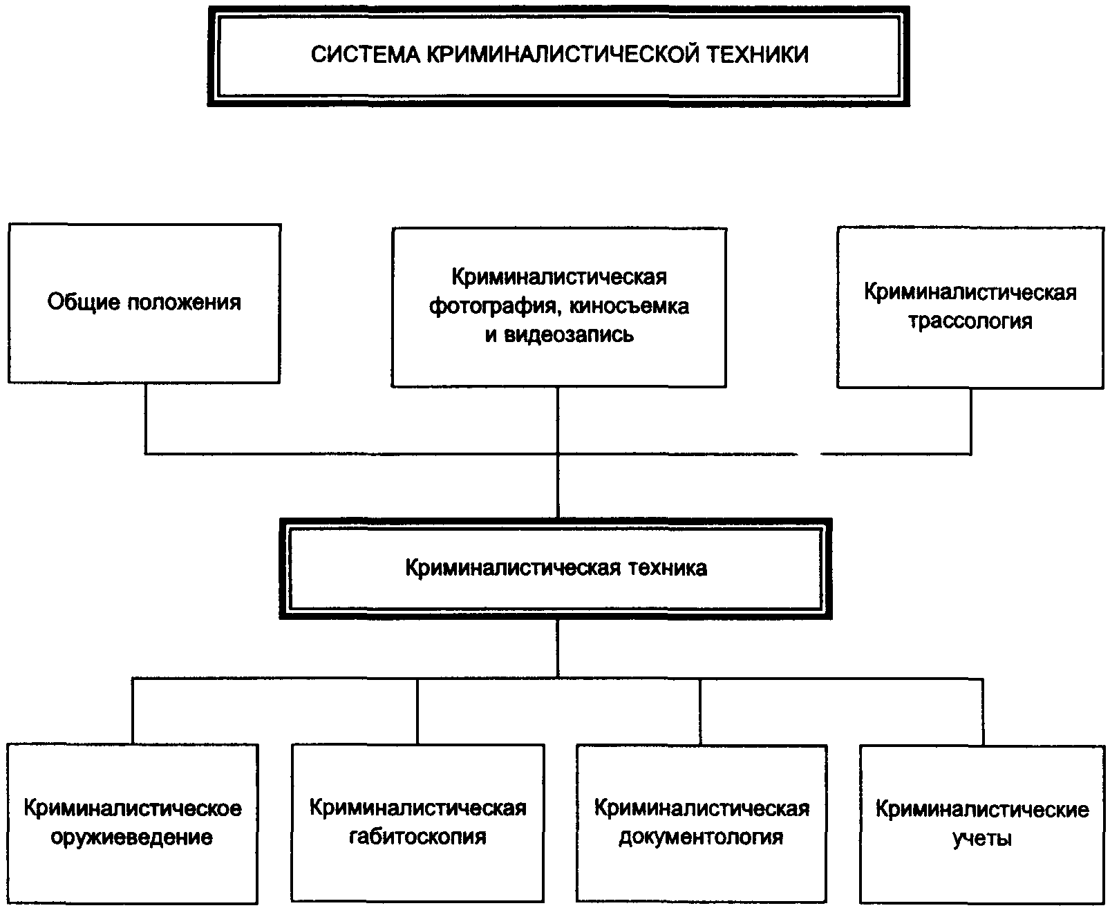 Экспертно-криминалистические учёты — crimlib.info