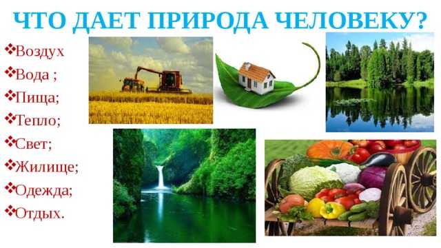 Влияние природы на общество. влияние природы на развитие общества