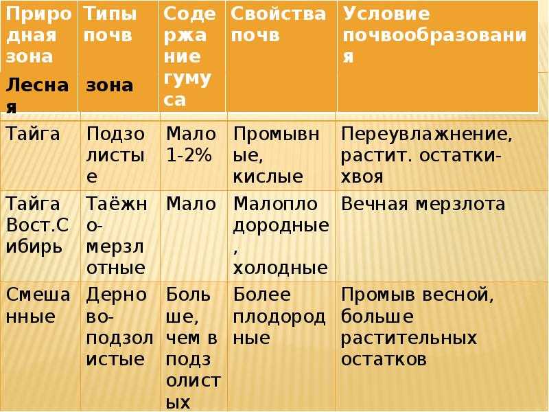 Почвы пойм - условия почвообразования, зональность