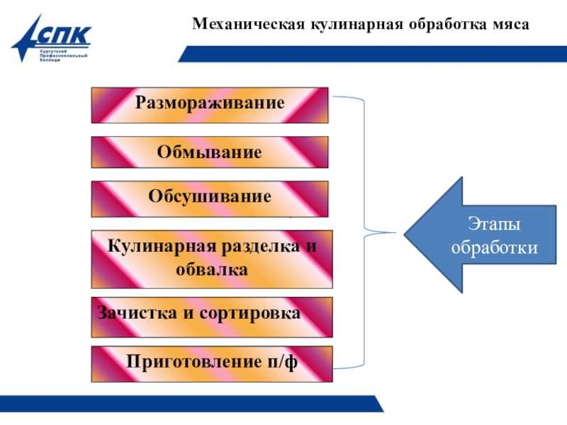 § 3. механическая и тепловая обработка мяса