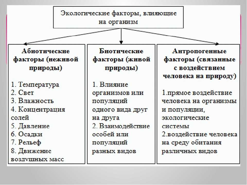 Экологические факторы среды