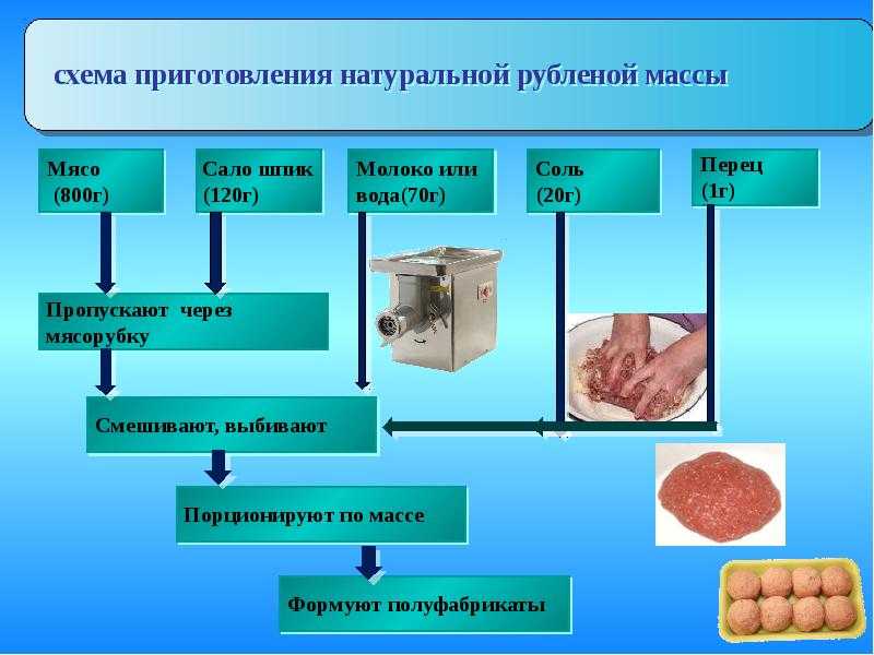 Приготовление котлетной и кнельной массы из куриного мяса - подготовка продуктов и технология приготовления - технология приготовления блюд и обработки продуктов для детского питания. - школьное питание - pitportal.ru – информационный портал