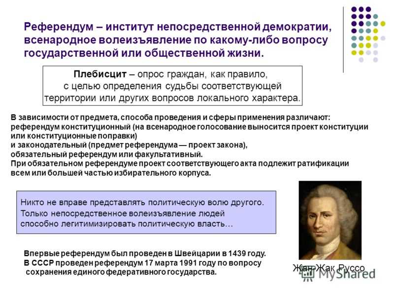 Референдум⭐️: что это в обществознании, чем отличается от выборов, принципы организации, примеры