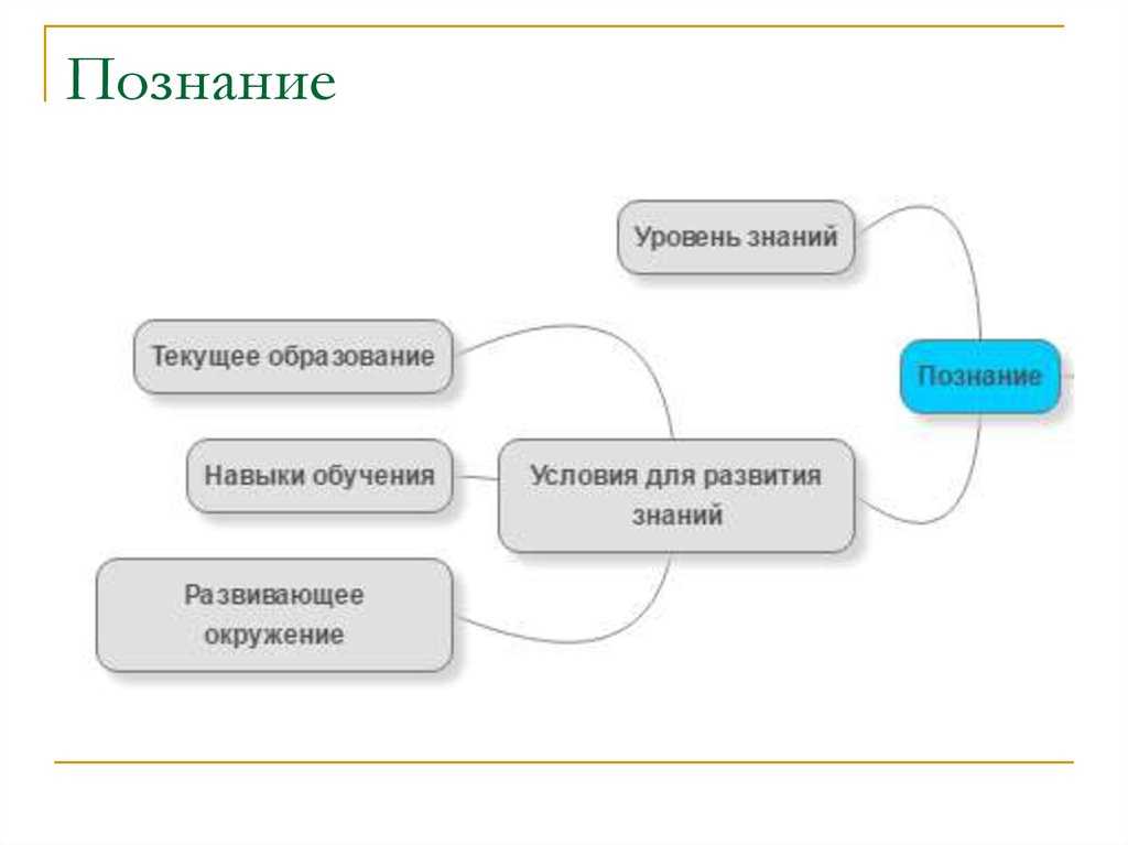 Познание и творчество обществознание кратко