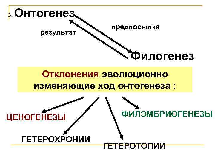 Глава 33