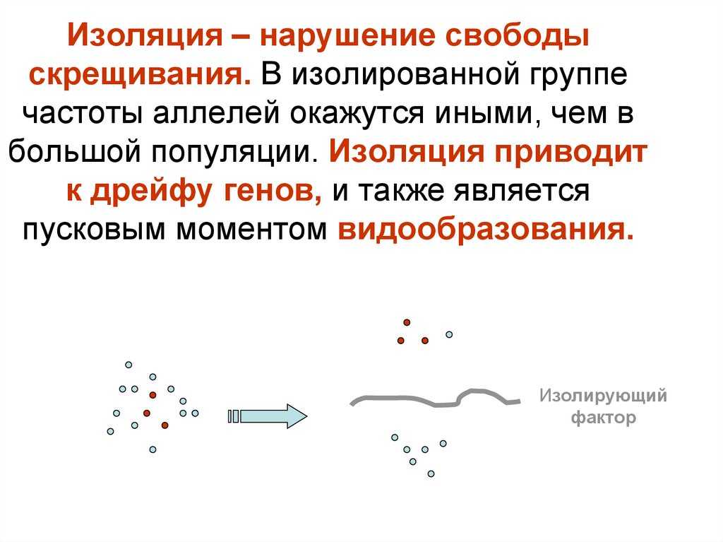 Изоляция в биологии. определение. примеры.