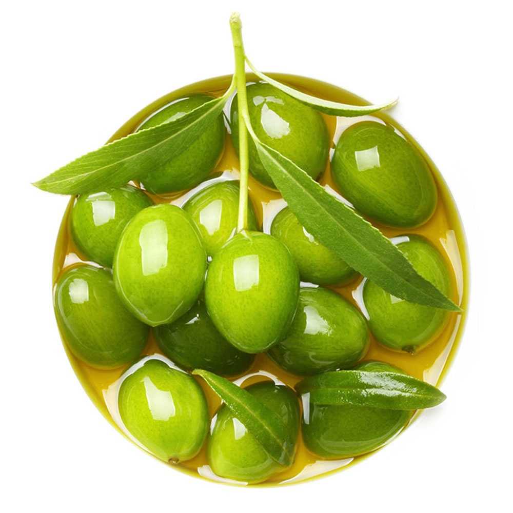 Olea europaea fruit oil