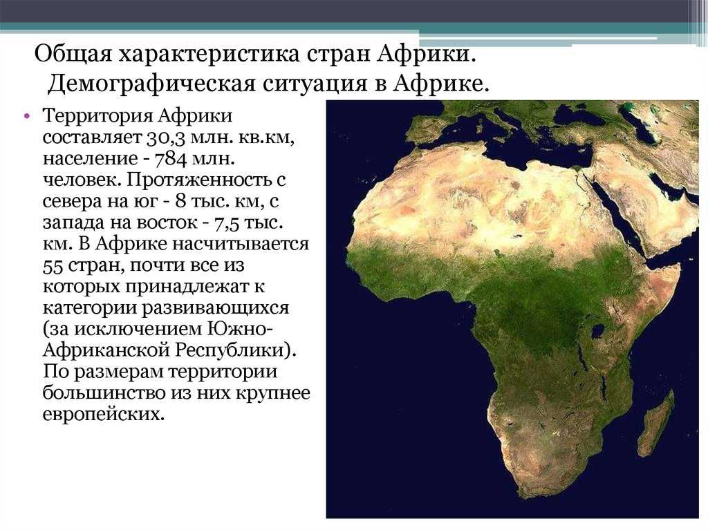 Общая экономико-географическая характеристика африки: территория, ресурсы, население 10 класс презентация, доклад, проект