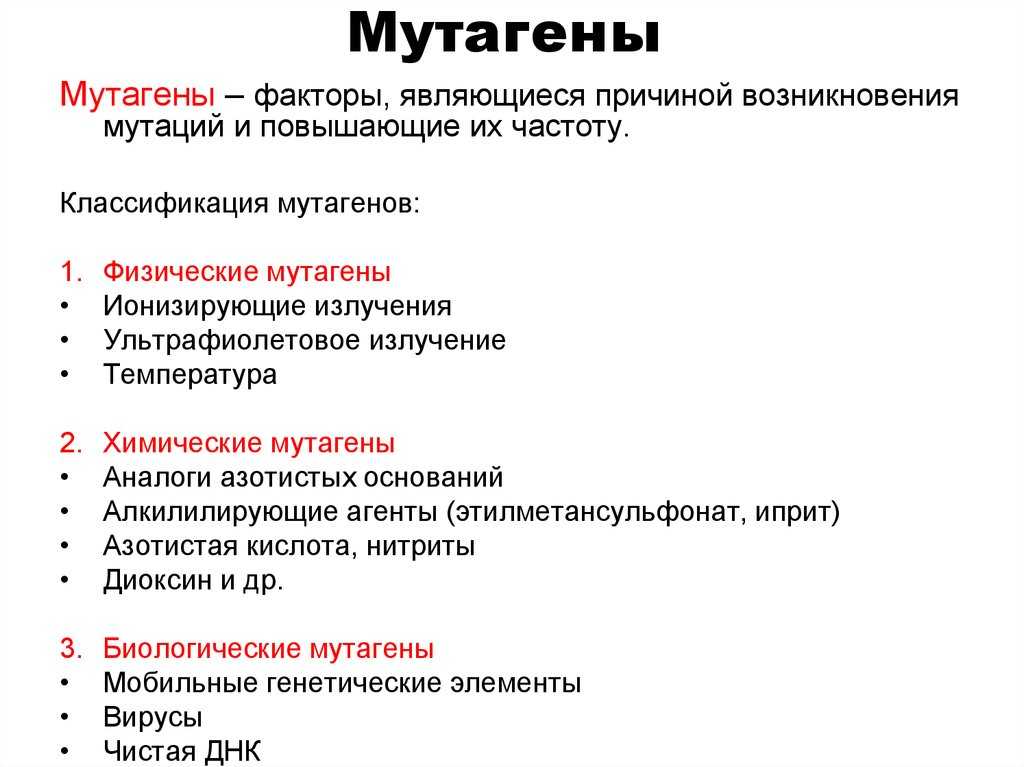 Физические мутагены. реферат. биология. 2010-01-20