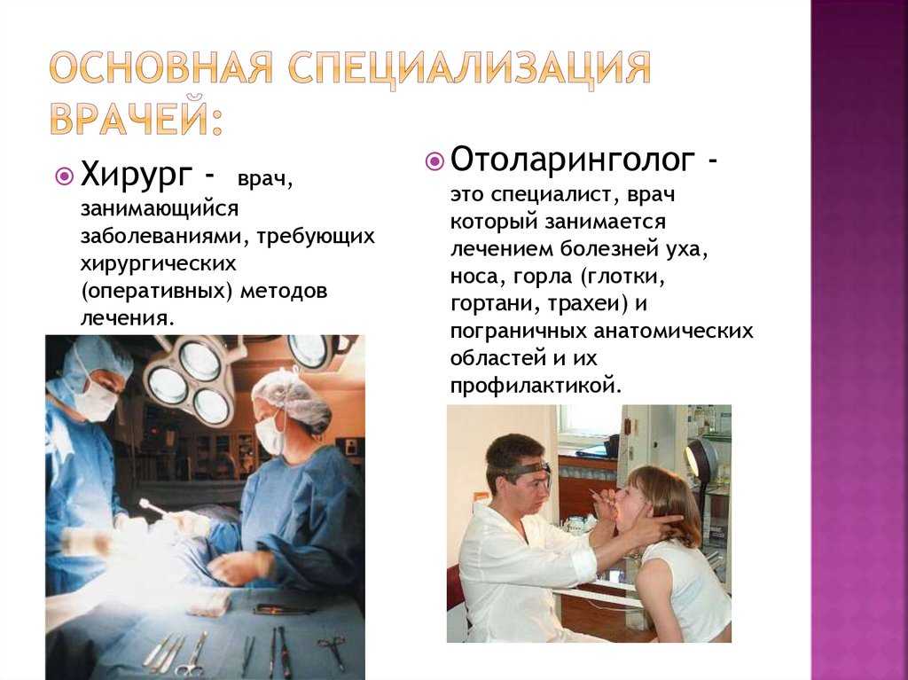 Специальность и квалификация: в чём разница