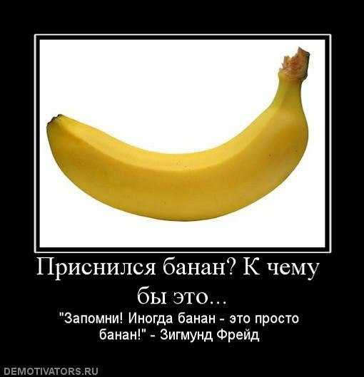 Философия и психоанализ