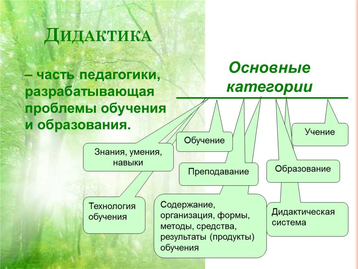 Понятия «дидактика» и «дидактическая система». | fpp ychebnik вики | fandom