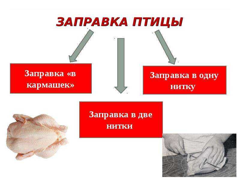 Первичная обработка домашней птицы и дичи. домашняя птица и дичь. кулинарная энциклопедия. рецептуры предприятий общественного питания
