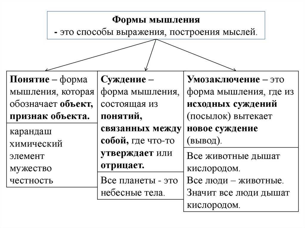 Лекция № 5 понятие как форма мышления