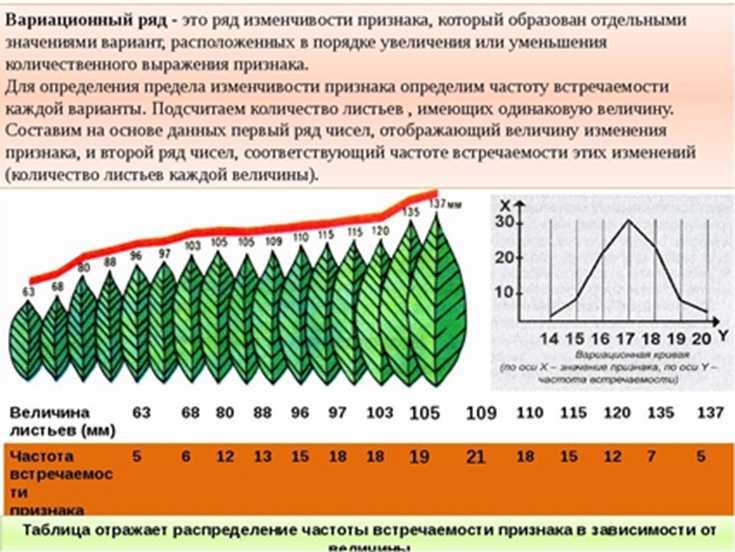 Назовите способ вычисления показателя наглядности