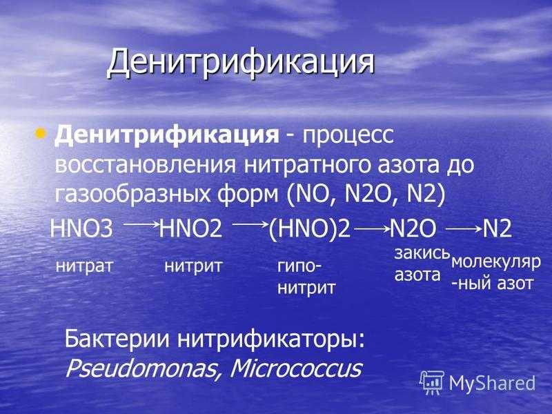 Нитрификация и денитрификация