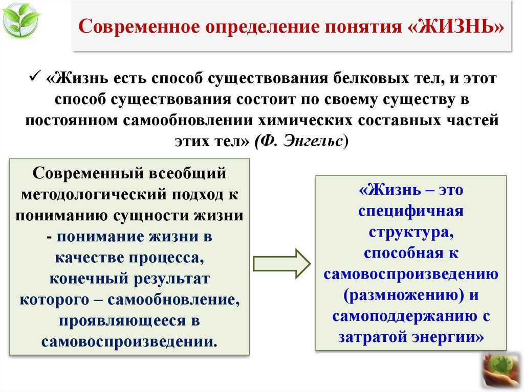 Жизненный индекс