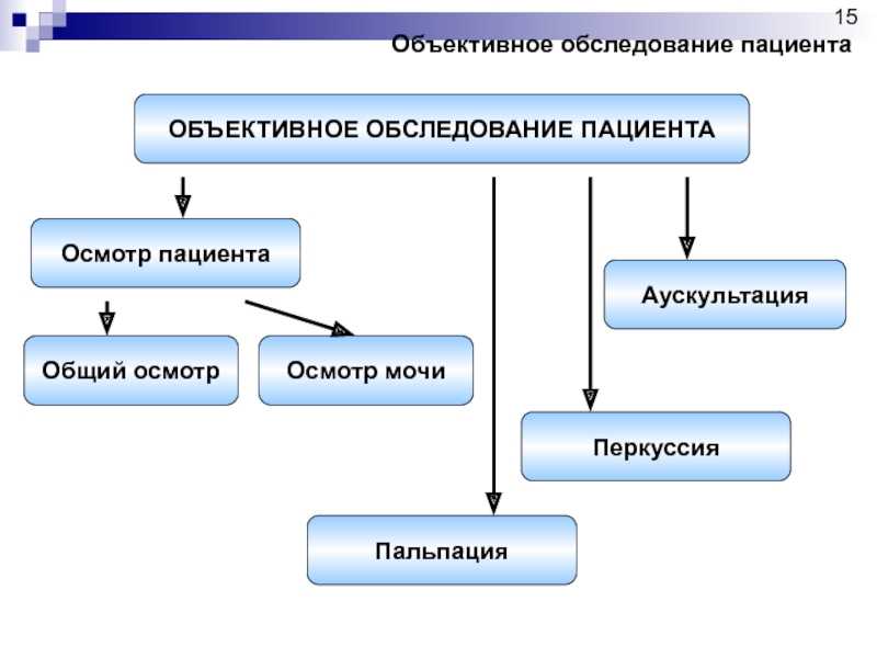 Объективные и субъективные методы обследования пациента