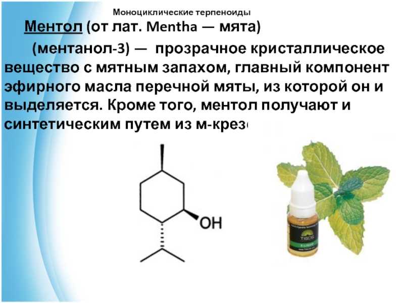 Польза и вред ментола для здоровья человека