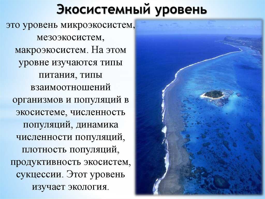 Биология как наука. часть 1 - умскул учебник