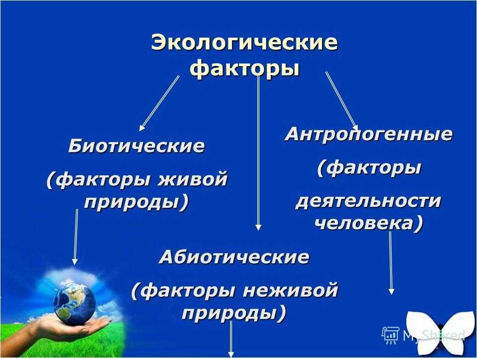2.1. экологические факторы. общая экология