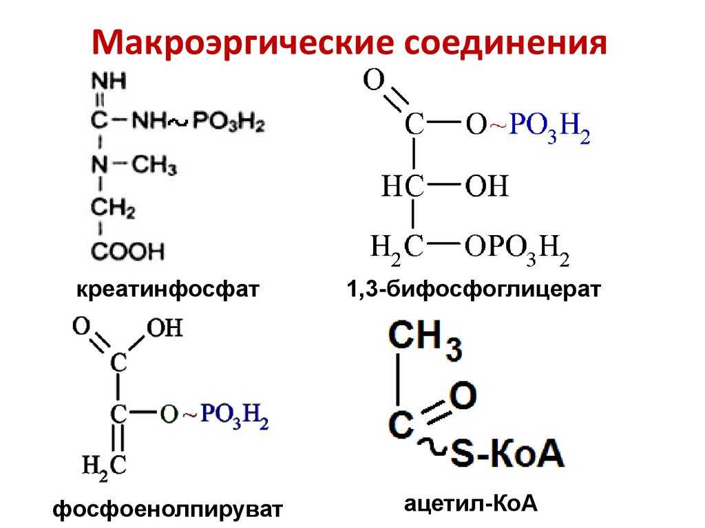Макроэргическая связь