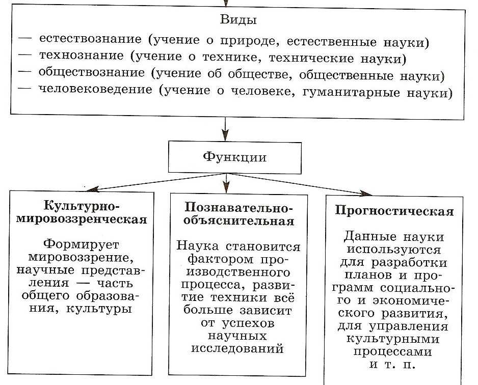 Функции науки в социальной сфере: понятия, характеристика
