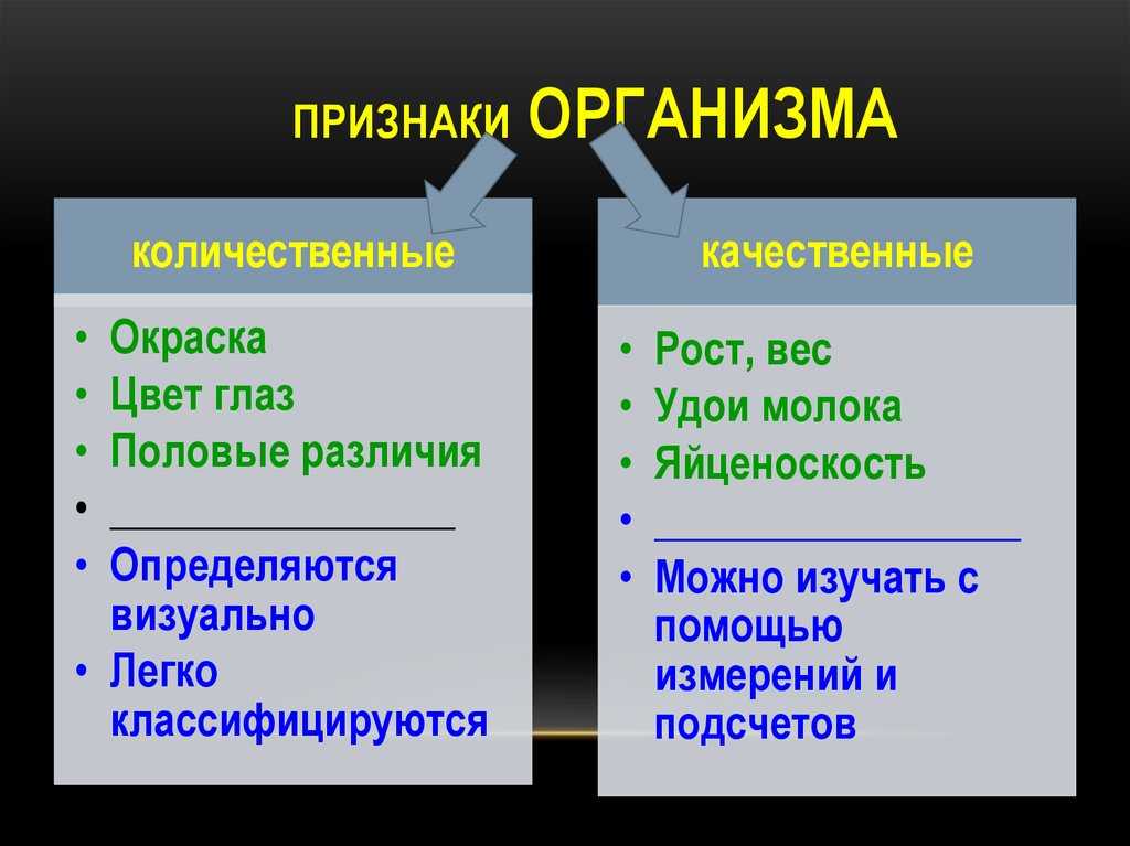 Теория