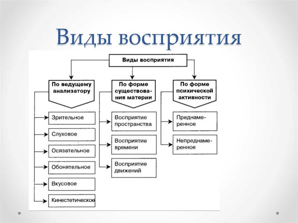 Как человек воспринимает визуальную информацию и как это можно использовать в бизнесе