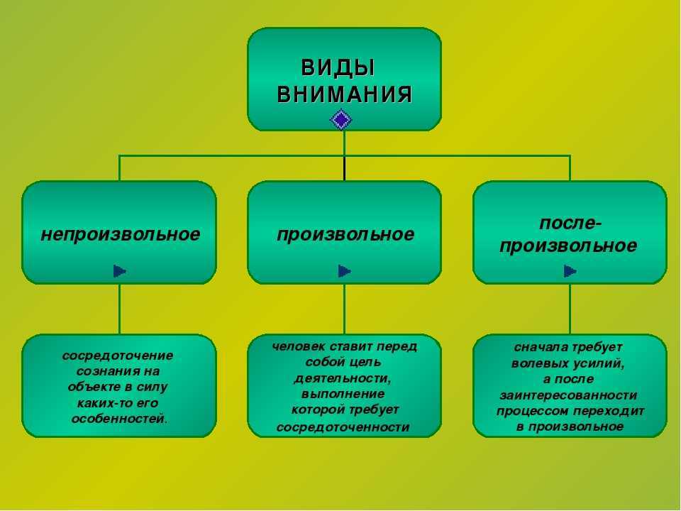 Внимание человека: что это и как оно работает | блог 4brain
