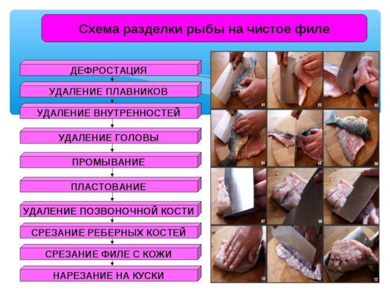 Обработка рыбы и рыбных пищевых отходов